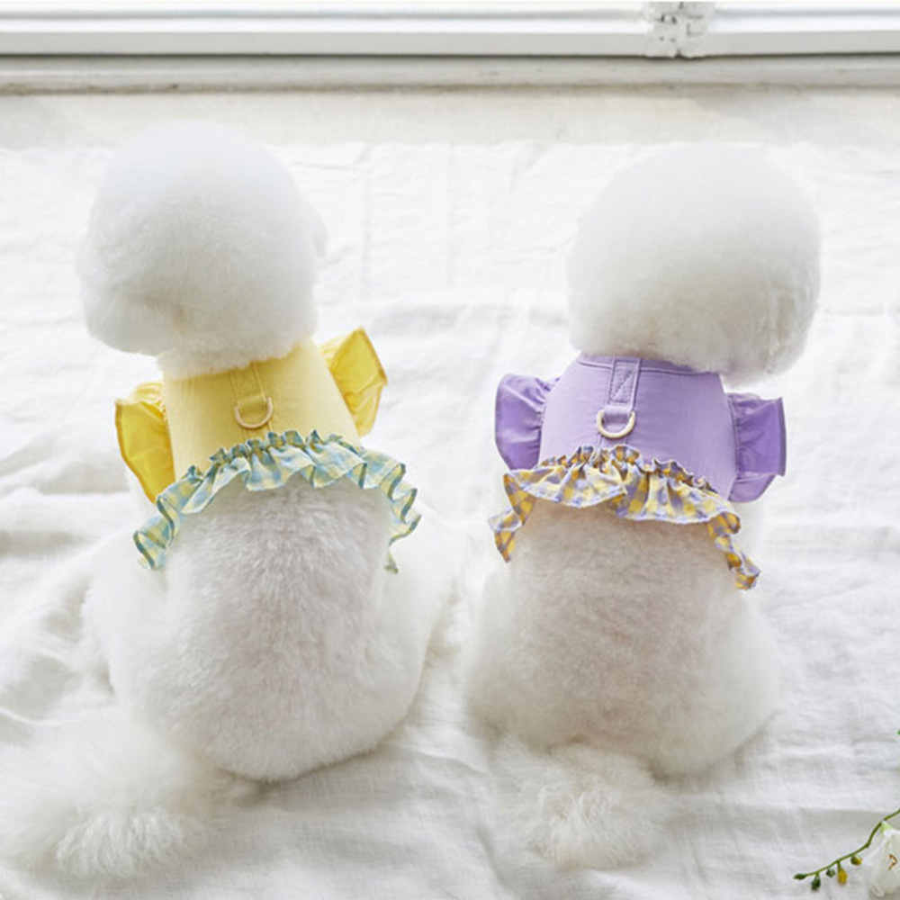 Dog Color Contrast Traction Ro - Lace Teddy Lingerie 리뷰 및 가격