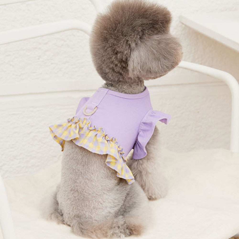 Dog Color Contrast Traction Ro - Lace Teddy Lingerie 리뷰 및 가격
