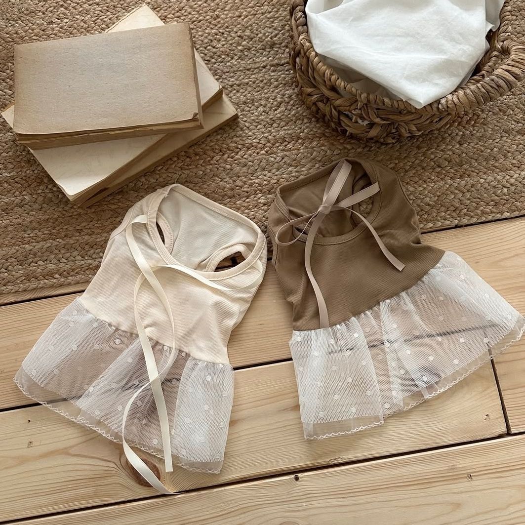 Spring and Summer Pet Lace Cam - Lace Teddy Lingerie 리뷰 및 가격