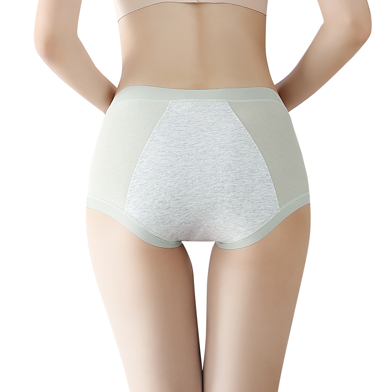 Women's Menstrual Panties Woma - Period Panty Absorbent 리뷰 및 가격