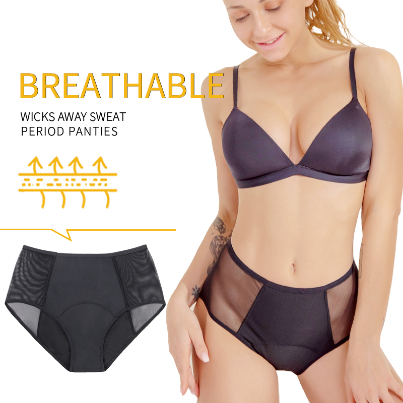 Drop shipping Women's High-wai - Period Panty Absorbent 리뷰 및 가격
