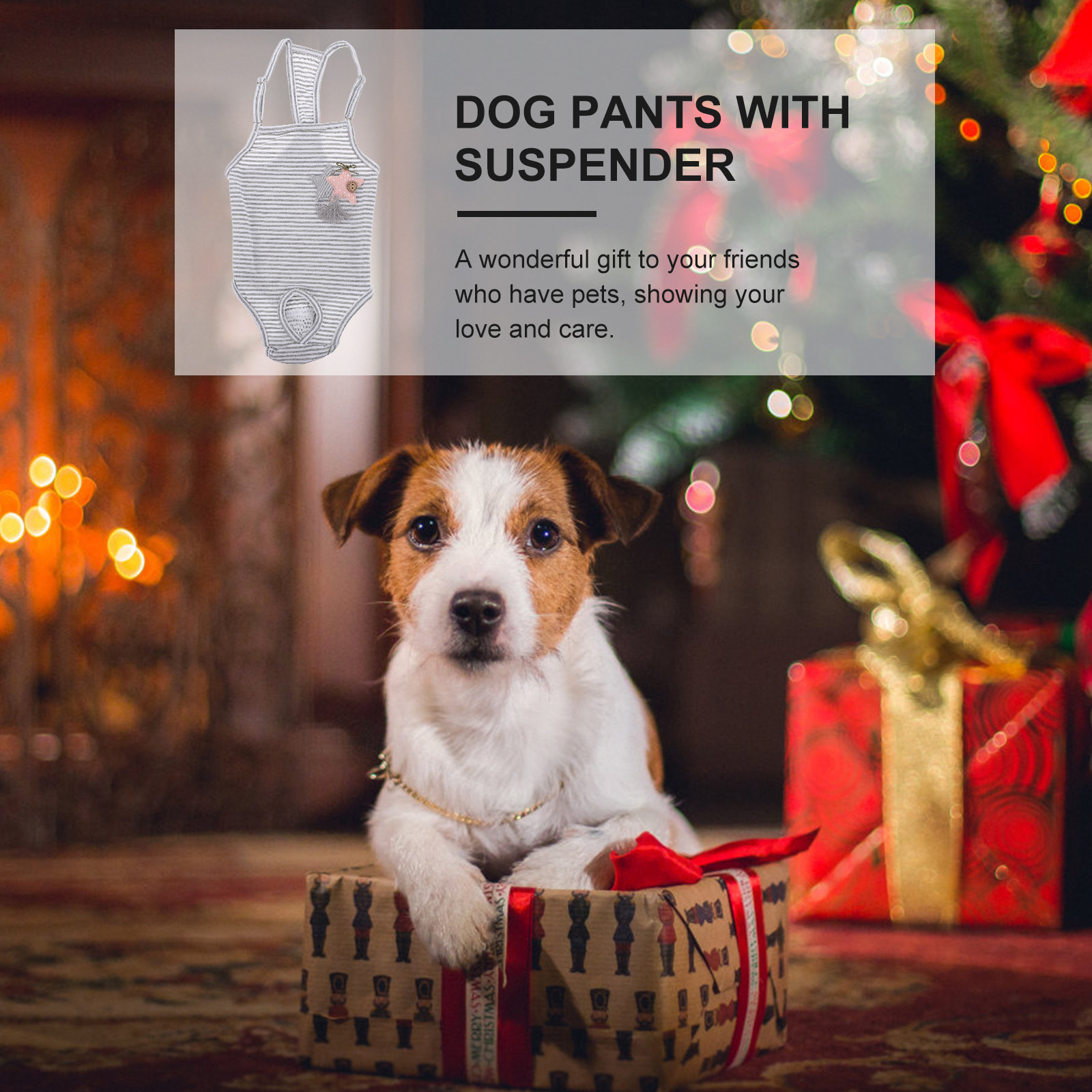 Premium Cloth Dog Diaper Pants - Period Panty Absorbent 리뷰 및 가격